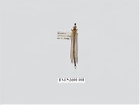 藏品(蟻蛉77)的圖片